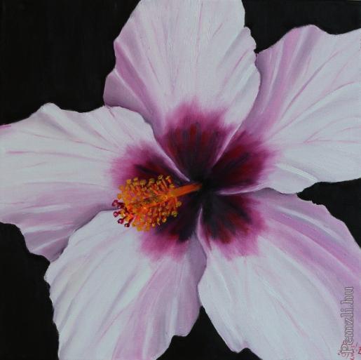szerelem 40x40 (640x638).jpg