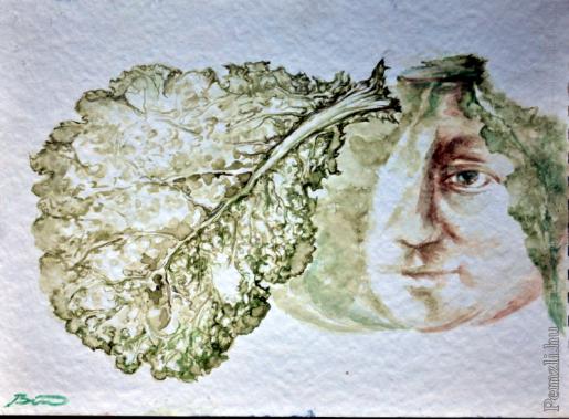 savoy cabbage head 22x30 cm.jpg