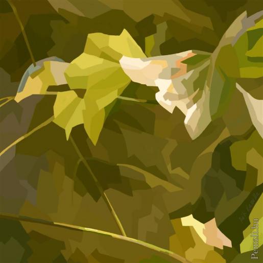 arnyas 3a jpg 4 (large).jpg