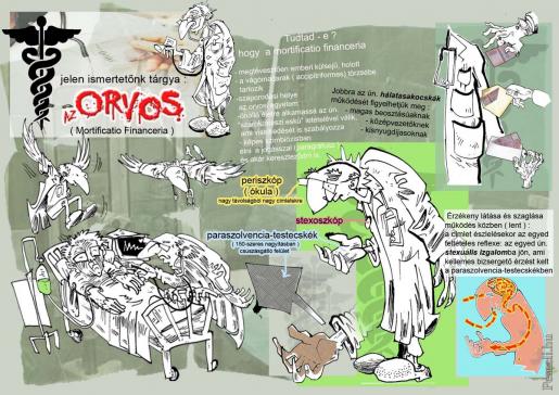 mortificatio financeria.jpg