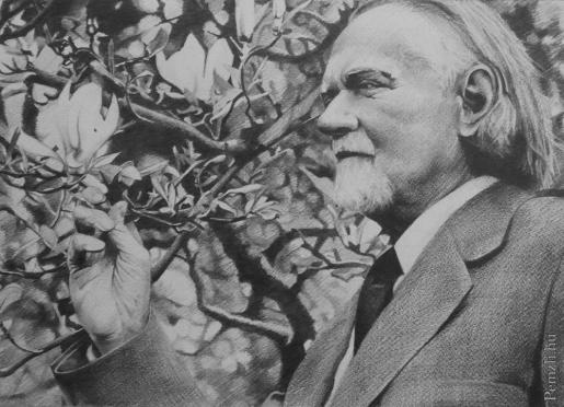 kodaly emlekere.jpg