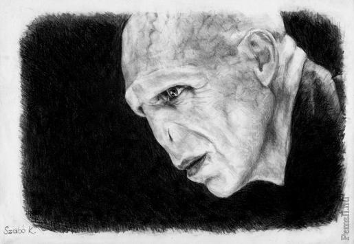 vodemort.jpg