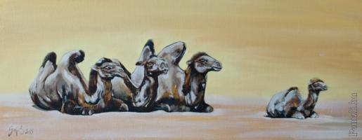 art_8182.jpg