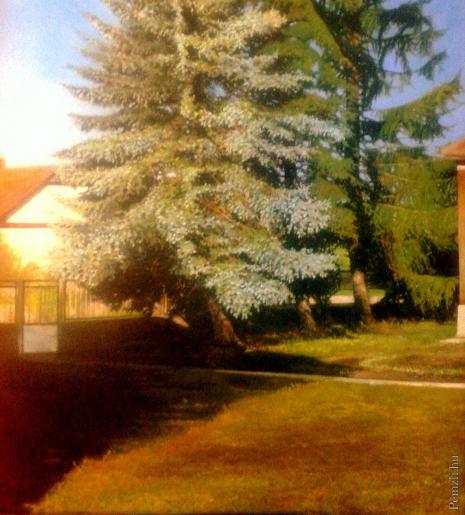 udvarreszlet01.jpg