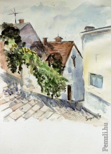 dscn2024s (462x640).jpg