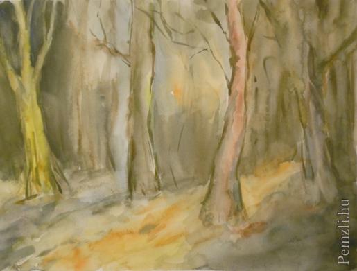 dscn6235 kismeret.jpg