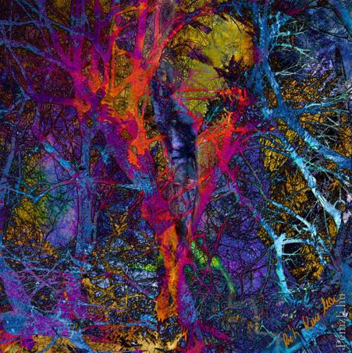 csipkebokor5bossz (large).jpg