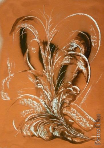 tiszteletem jeleul.jpg