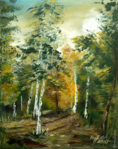 20101206 erdei seta 50x40.jpg